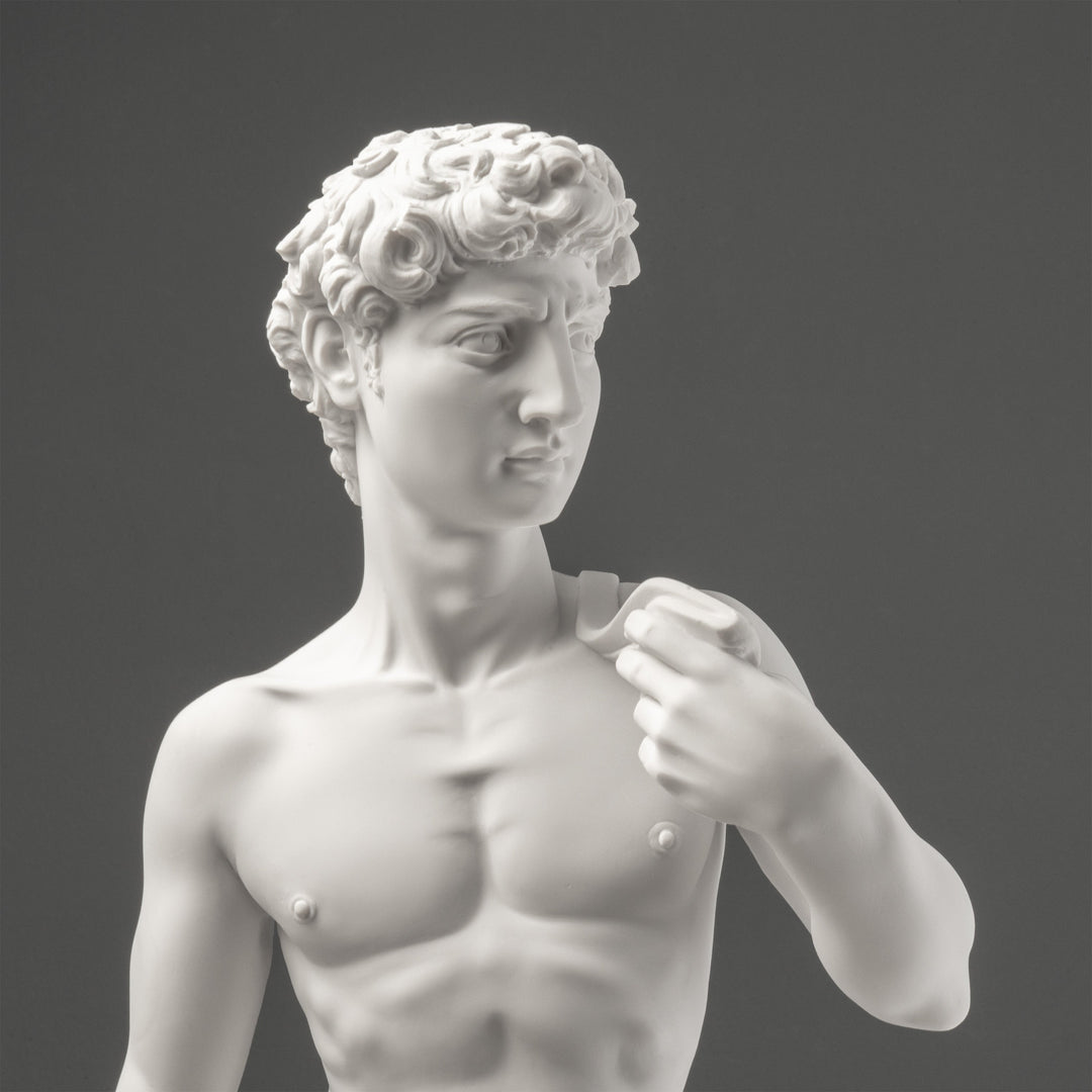 Michelangelos David Statue (Gross)