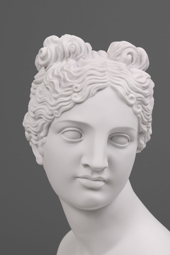 Büste der Venus Italica von Canova