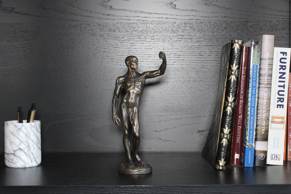 Anatomische Studie Statue (Bronzierte Skulptur aus Kunstharz von Houdon)
