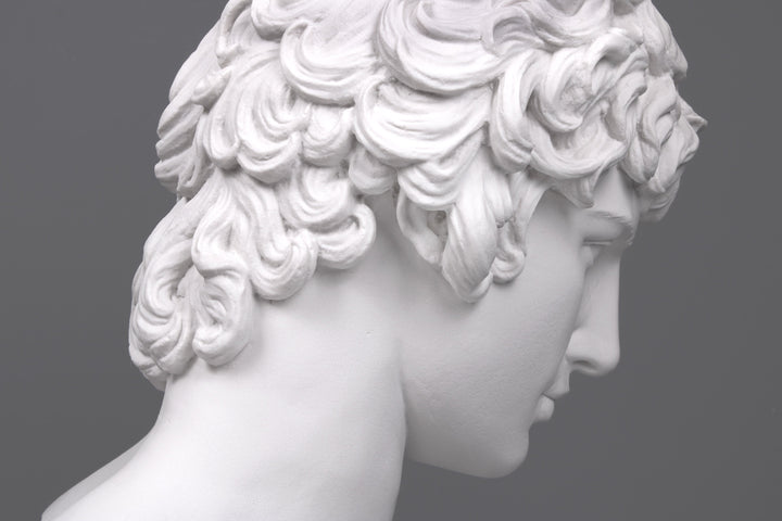 Antinous Bueste (Gross)