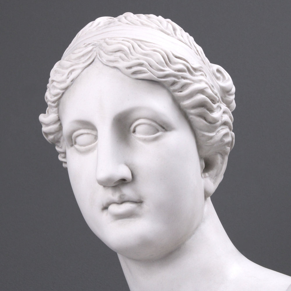 Aphrodite Büste modern
