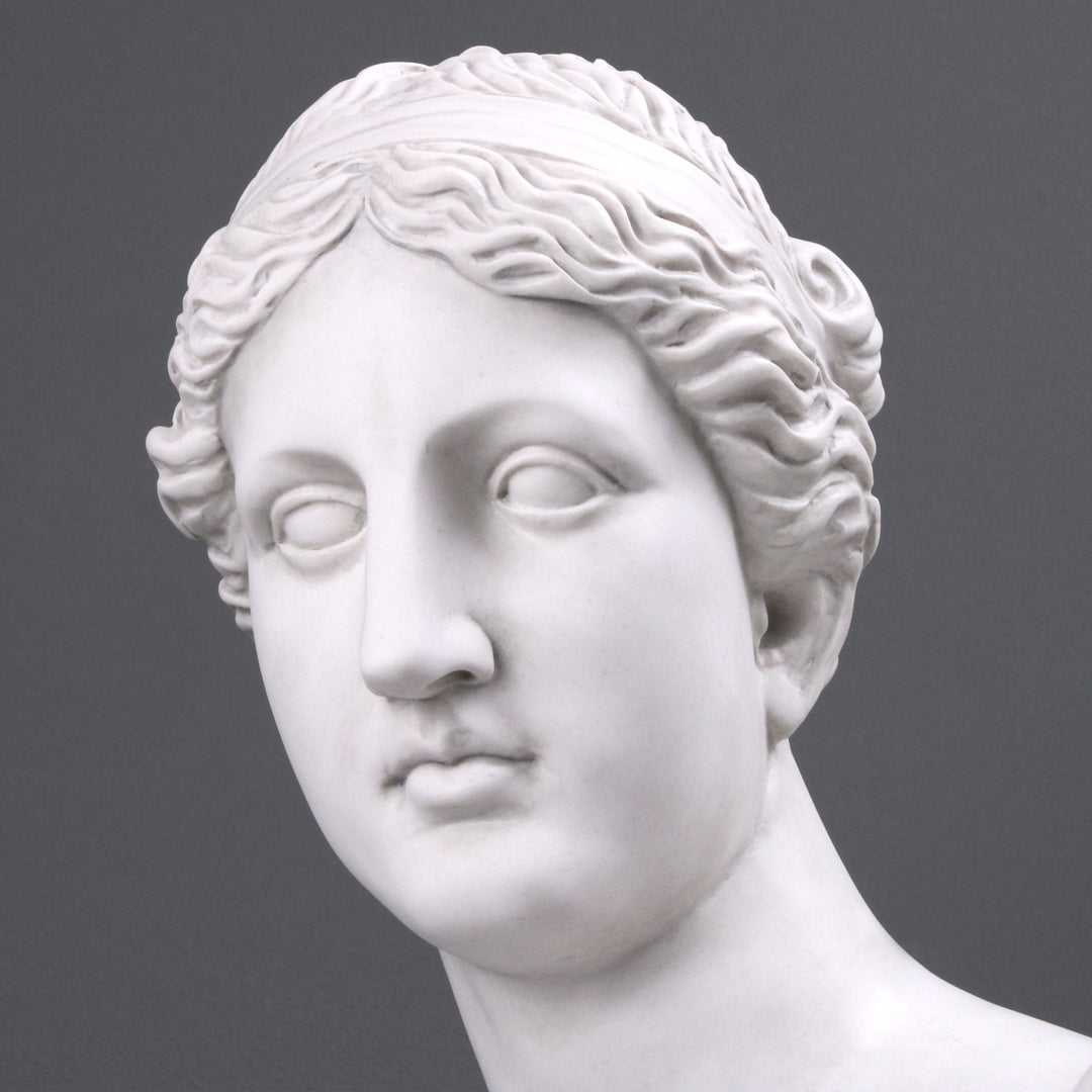 Aphrodite Büste modern