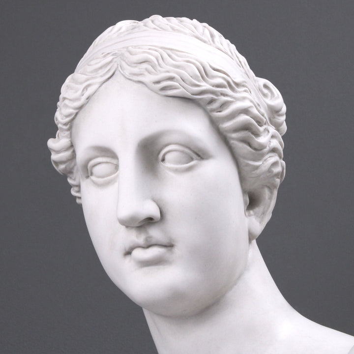 Aphrodite Büste modern