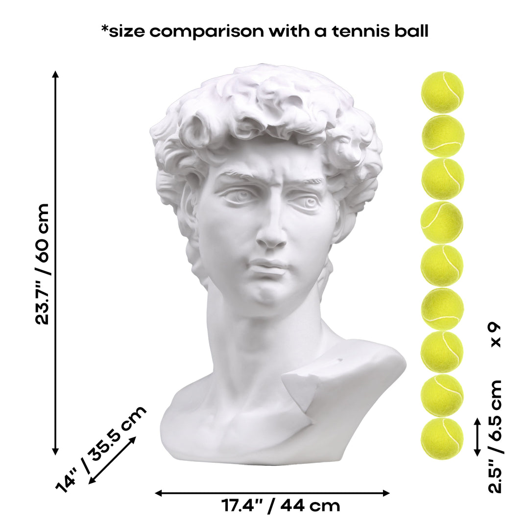 Große Michelangelo David Büste (Weiß)