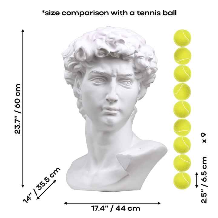 Große Michelangelo David Büste (Weiß)