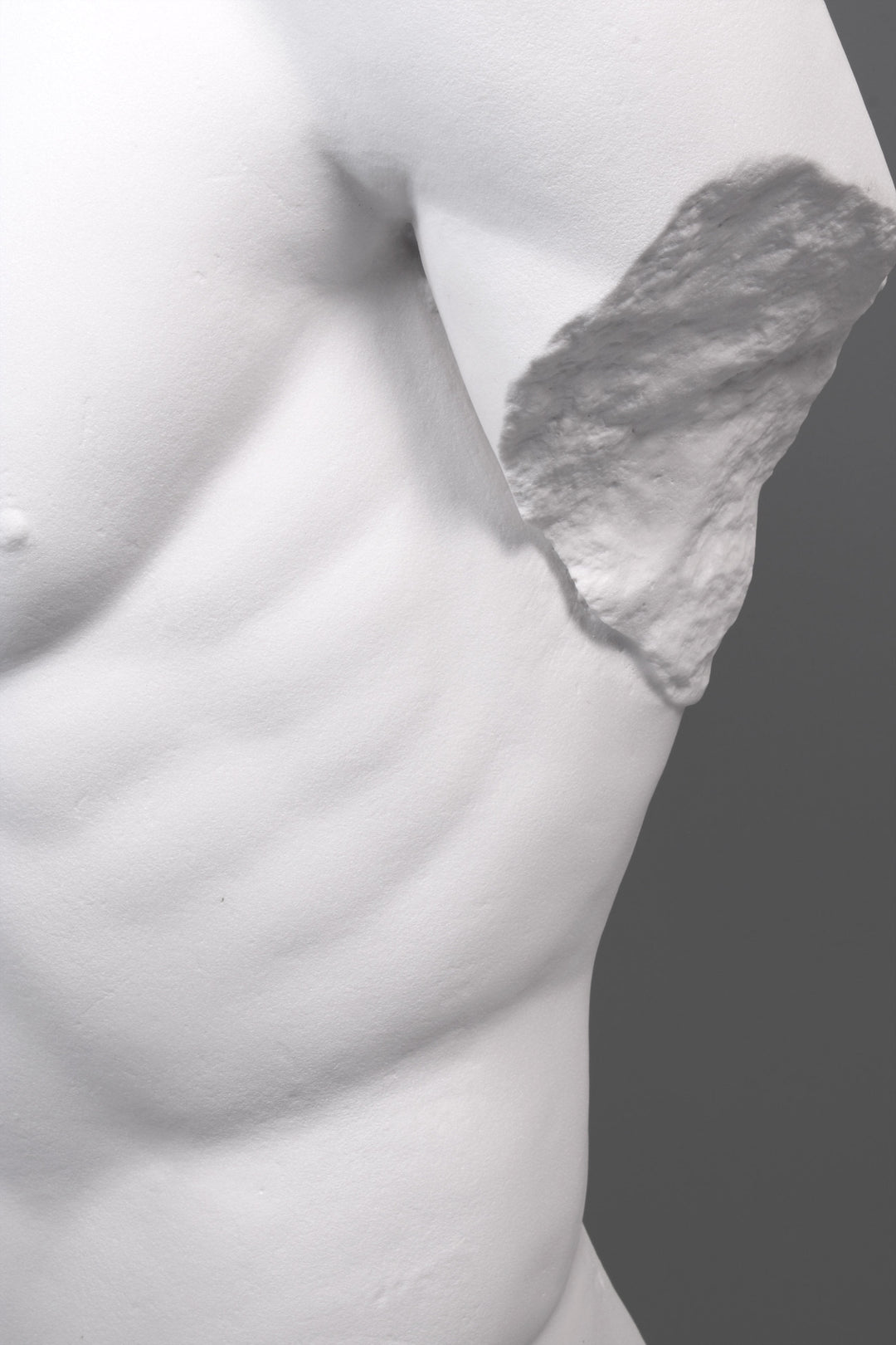 Maennlicher Torso Lebensgross auf Sockel