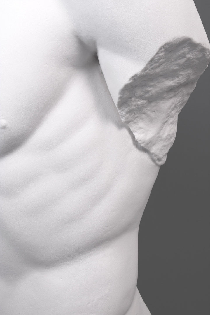 Maennlicher Torso Lebensgross auf Sockel