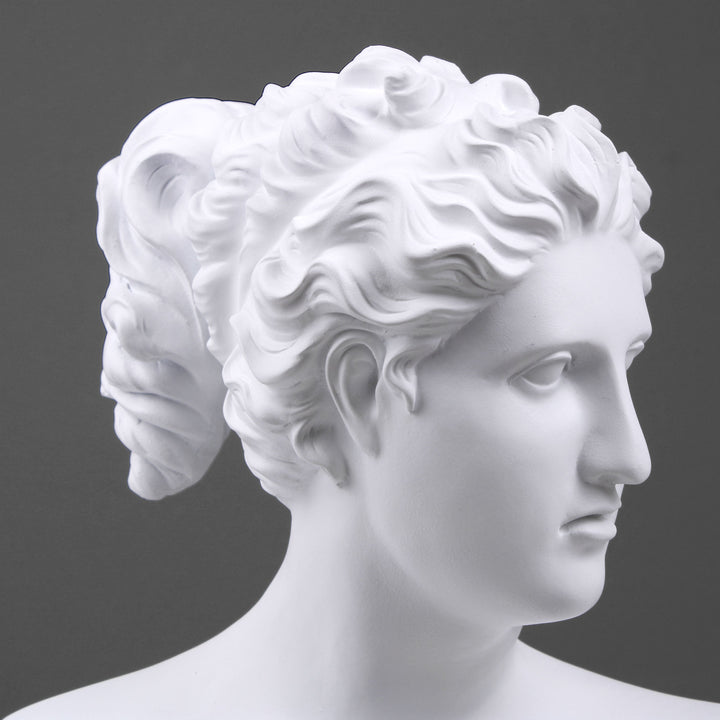 Venus Büste von Canova (Weiß)