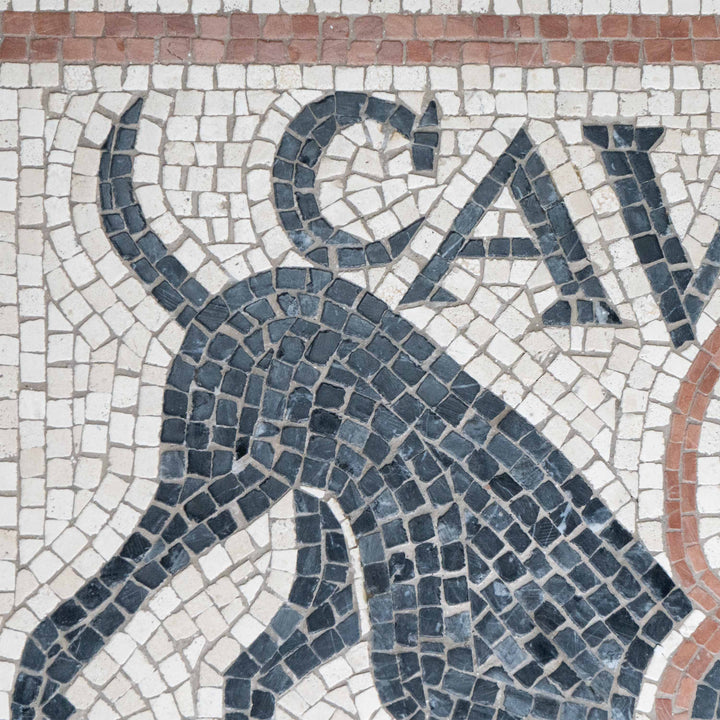 Cave Canem Marmor-Mosaik