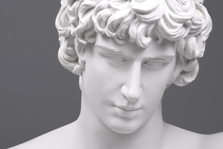 Antinous Bueste (Gross)