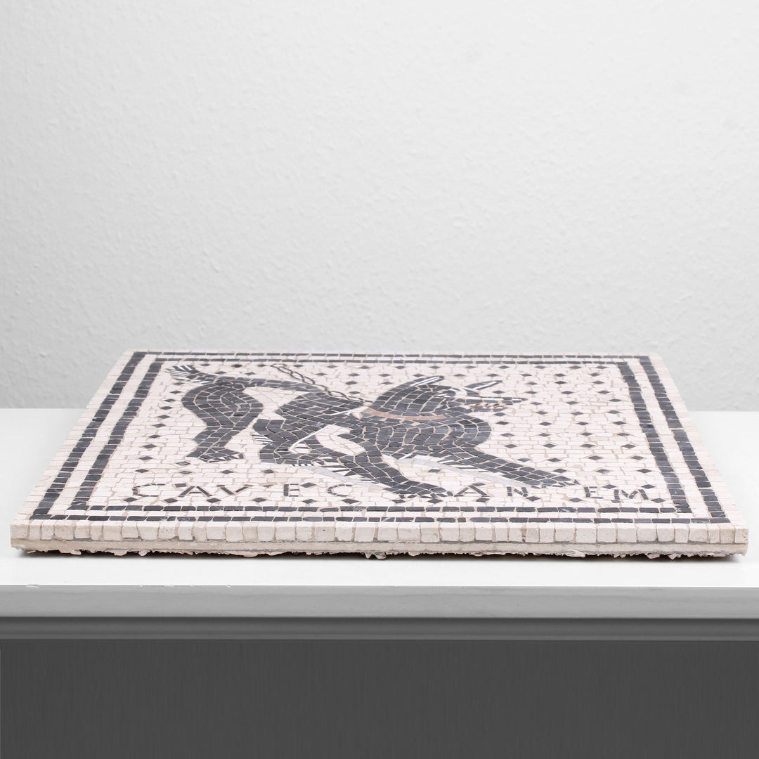 Cave Canem Marmor-Mosaik