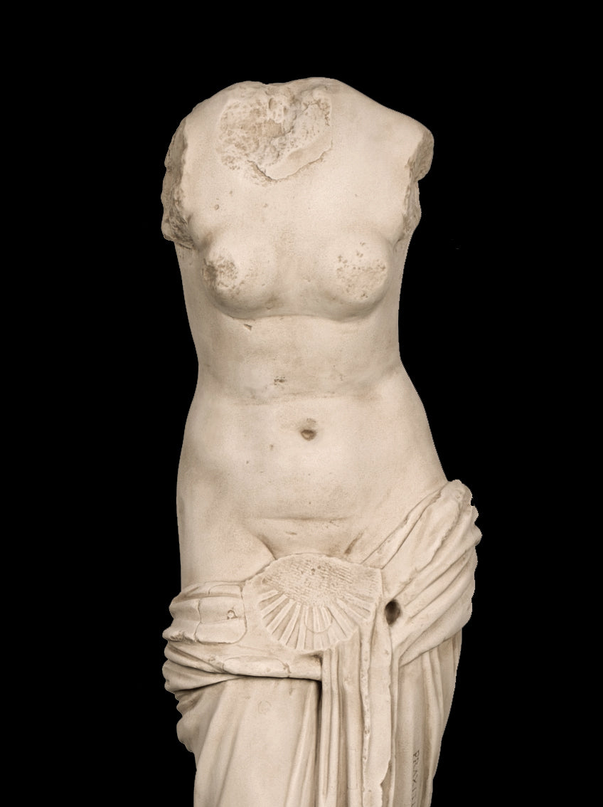 Venus Torso Lebensgrosse Statue (Gross)