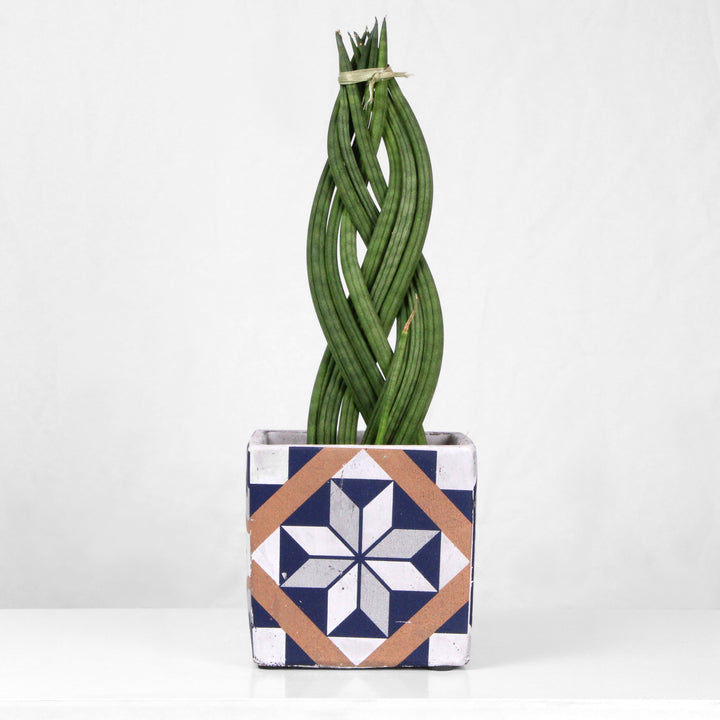 Mediterraner Blauer Pflanztopf