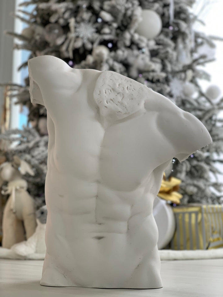 Männlicher Torso Statue