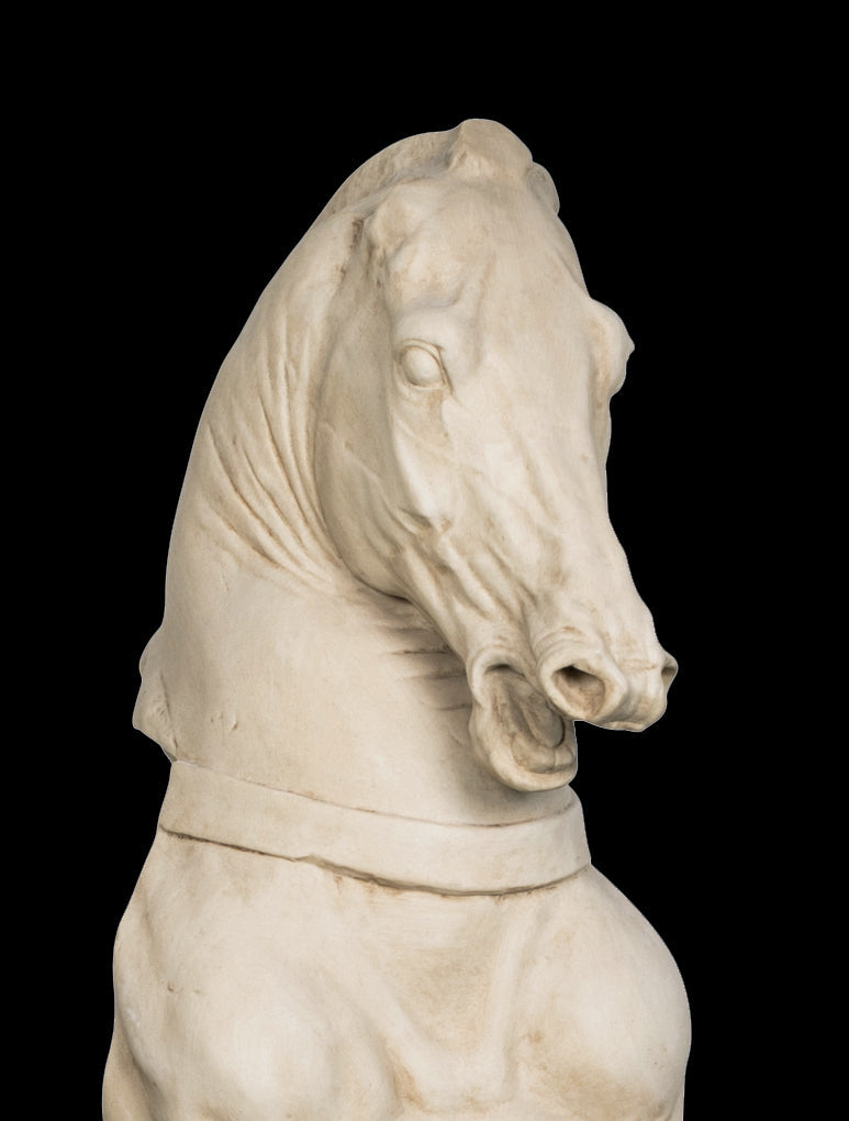Roemischer Pferdetorso Statue (Gross)