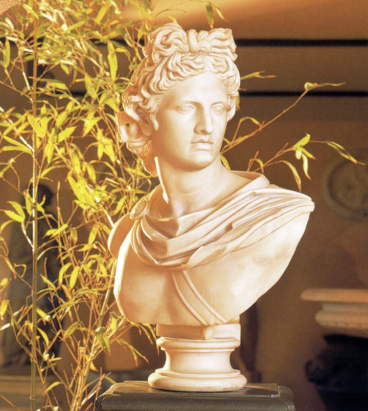 Apollo Belvedere Bueste (Gross)