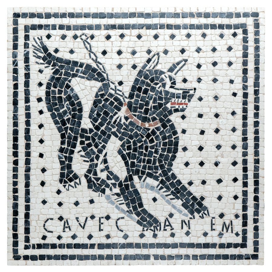 Cave Canem Marmor-Mosaik