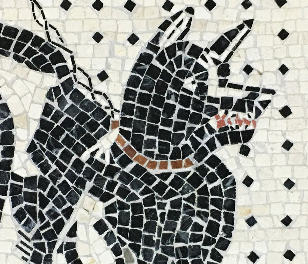 Cave Canem Marmor-Mosaik