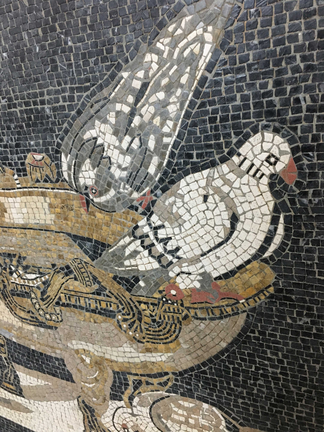 Tauben Marmor-Mosaik