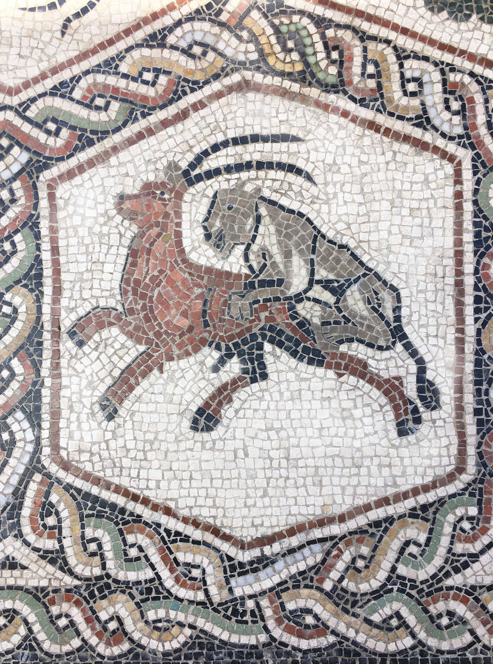 Tierteppich Marmor-Mosaik
