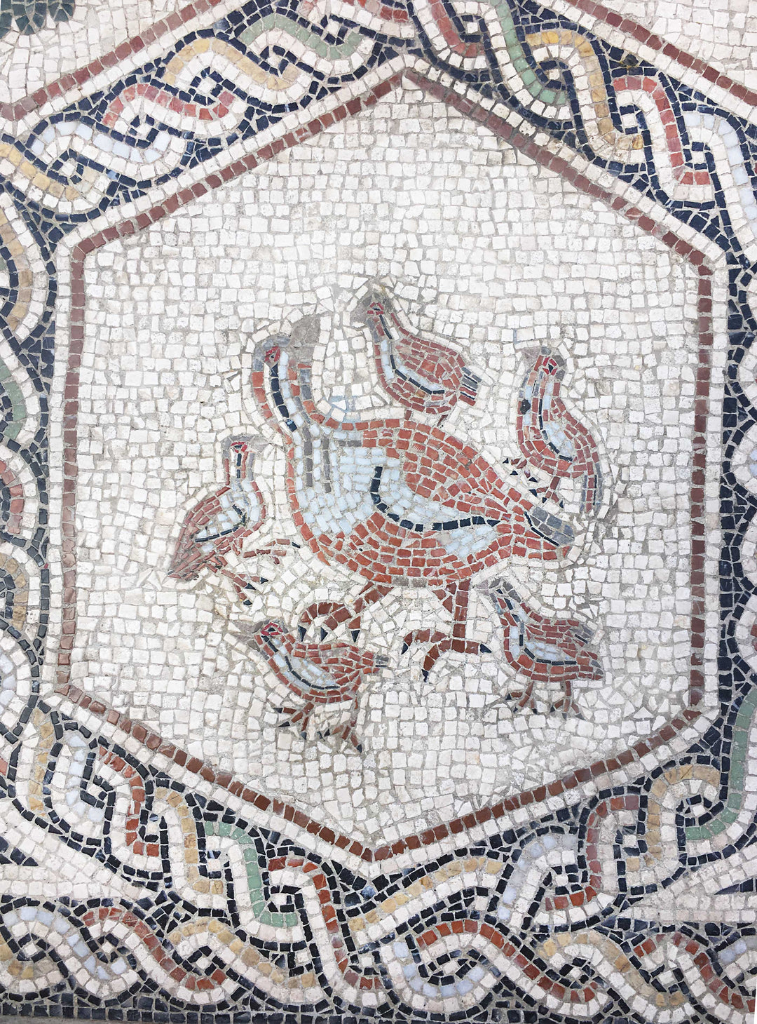 Tierteppich Marmor-Mosaik
