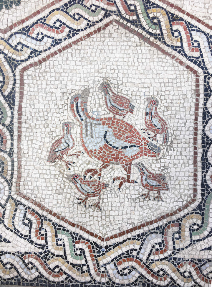 Tierteppich Marmor-Mosaik