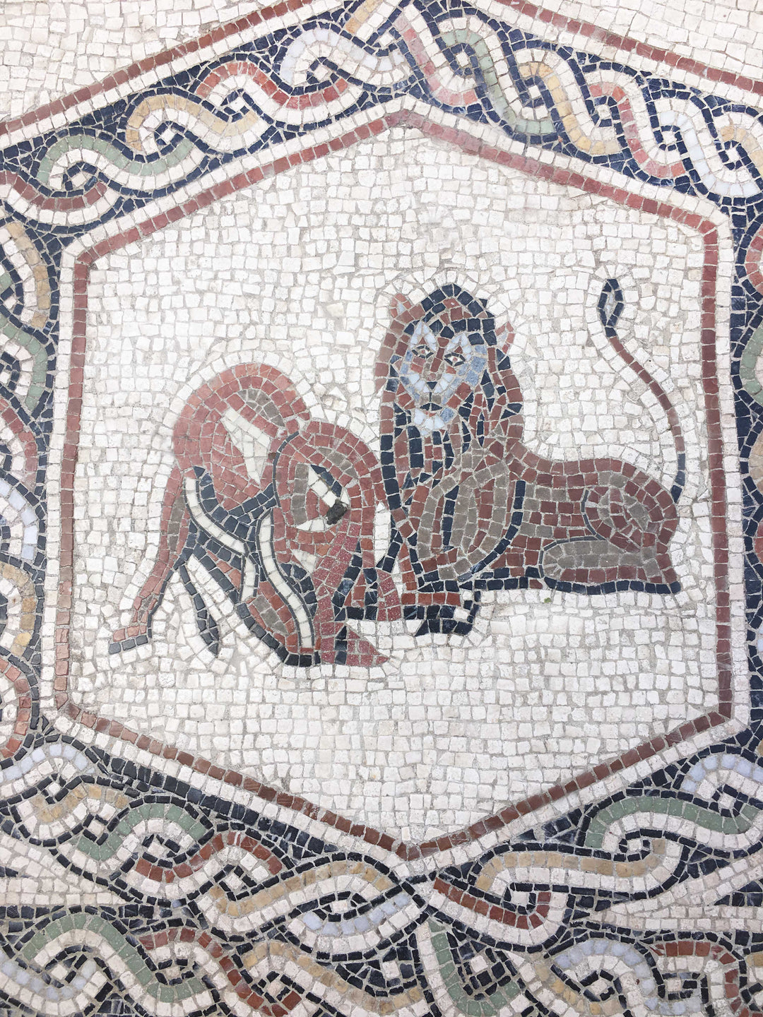 Tierteppich Marmor-Mosaik