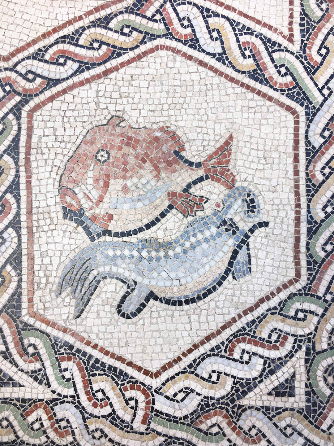 Tierteppich Marmor-Mosaik