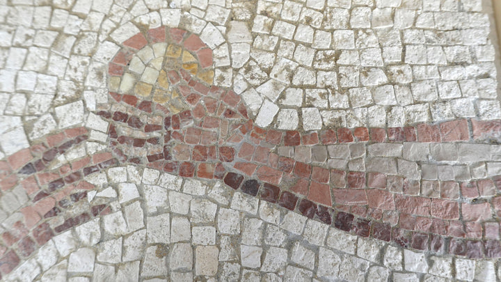 Der Goldene Apfel Marmor-Mosaik (Fragment)