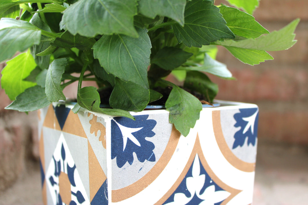 Mediterraner Blauer Pflanztopf