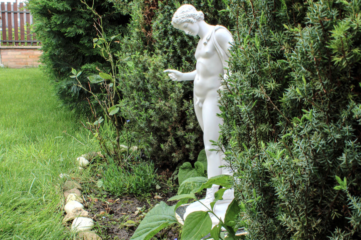 Narzissen Garten Statue