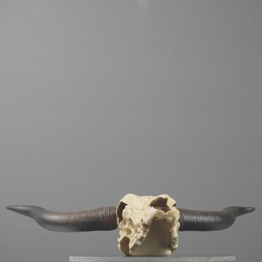 Longhorn Schädel Wandrelief (Harz Skulptur)