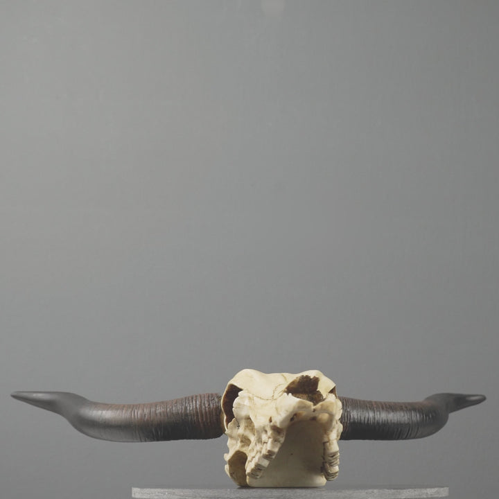 Longhorn Schädel Wandrelief (Harz Skulptur)