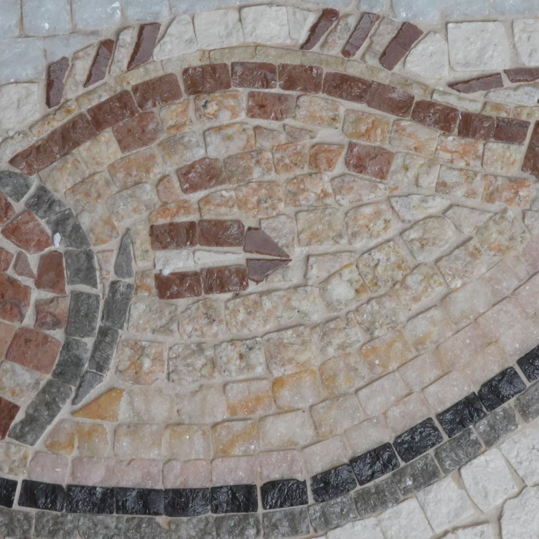 Fisch Impluvium Marmor-Mosaik