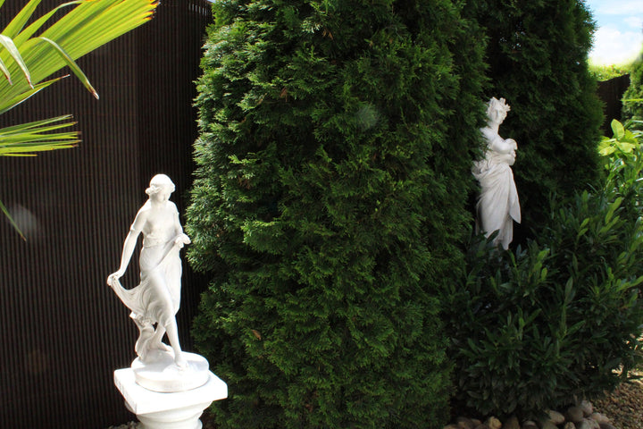 Virgil Statue