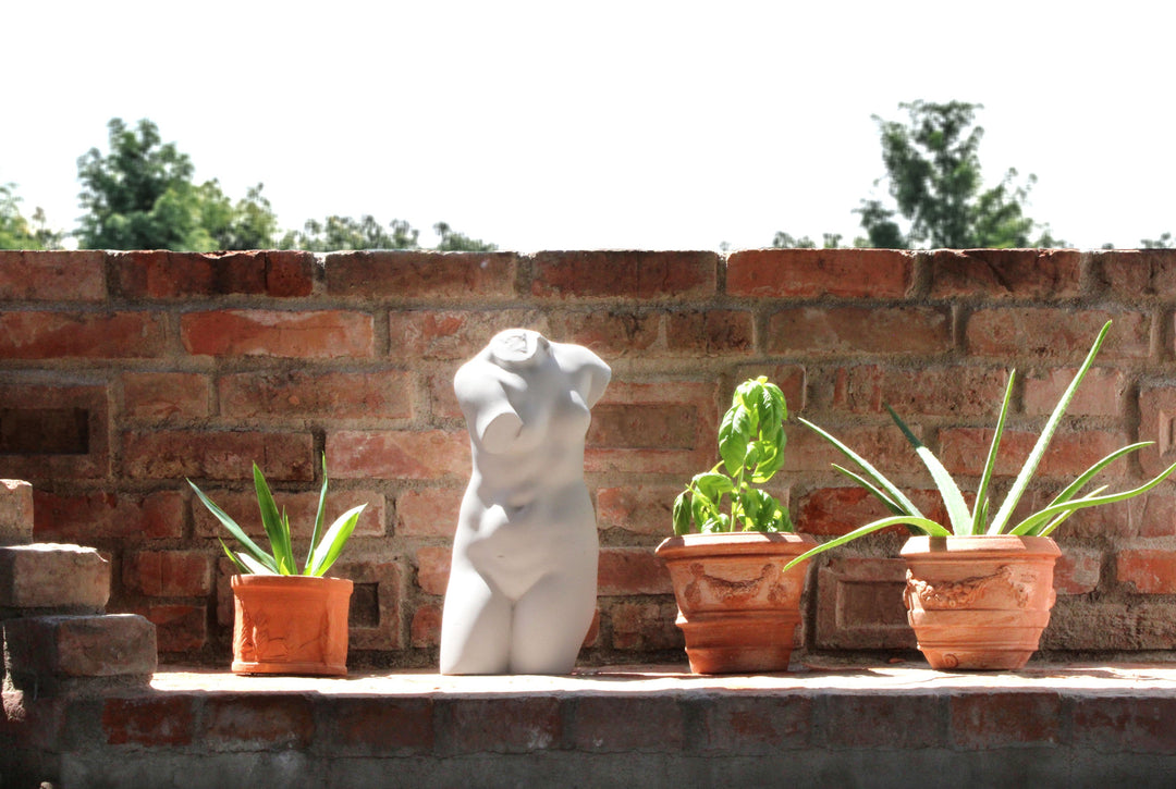Weiblicher Torso Statue (Aphrodite)